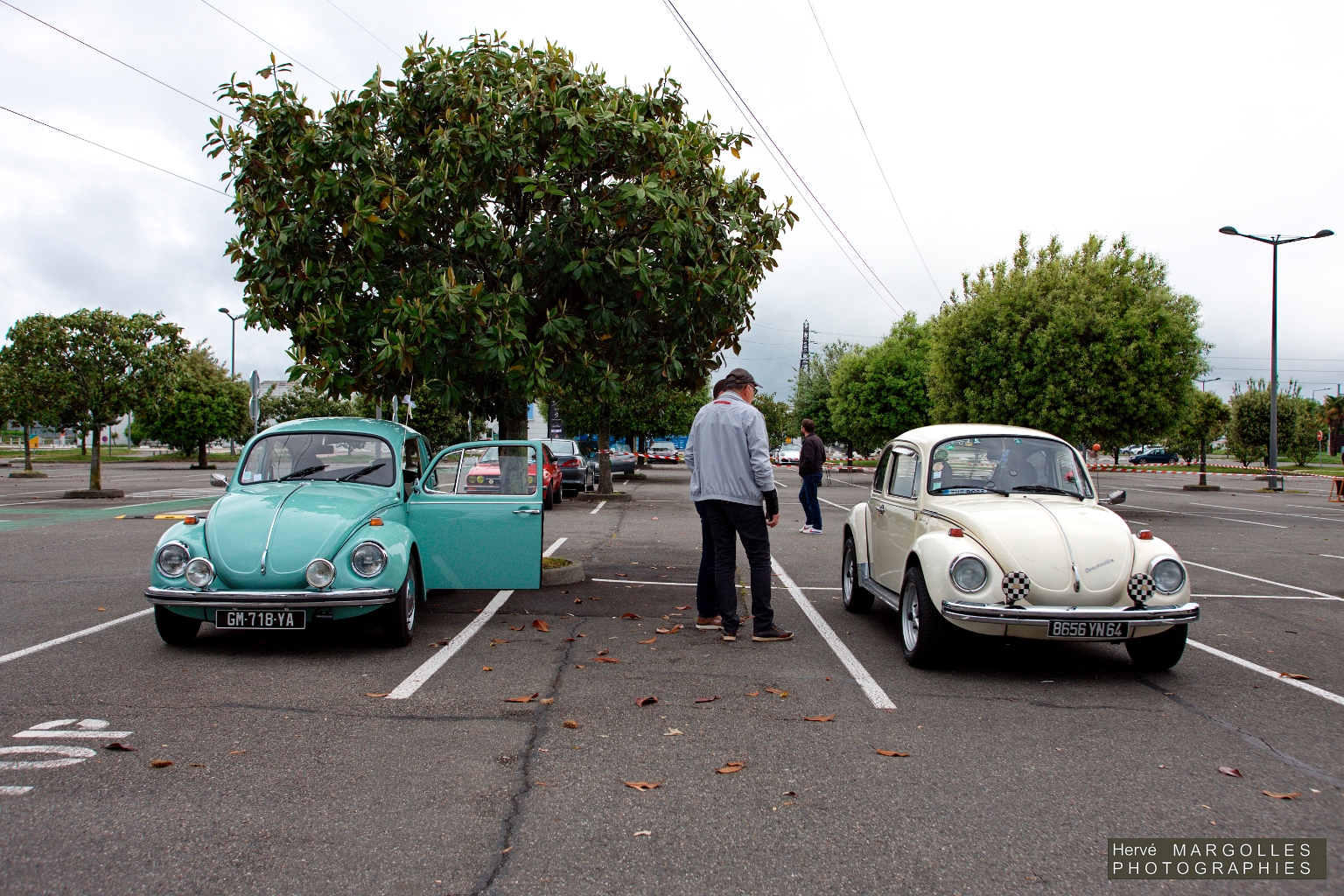VW Cox-01.jpg